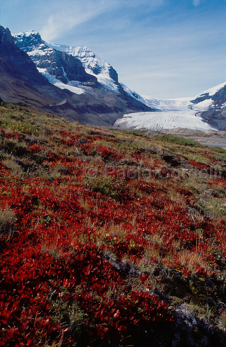 Athabasca Glacier in Jasper National Park, Alberta, Canada
 (cod:Canada 14)